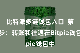 比特派多链钱包入口 第四步:转账和往返在Bitpie钱包中