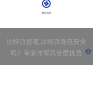 比特派提现 比特派钱包安全吗？专家详解其全面优势