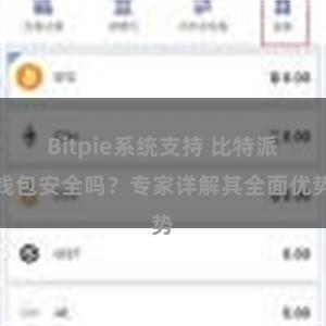 Bitpie系统支持 比特派钱包安全吗？专家详解其全面优势