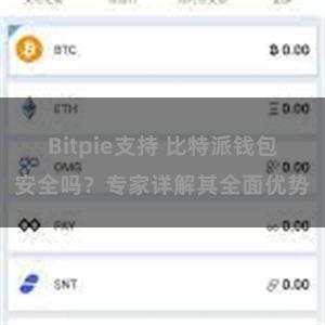 Bitpie支持 比特派钱包安全吗？专家详解其全面优势