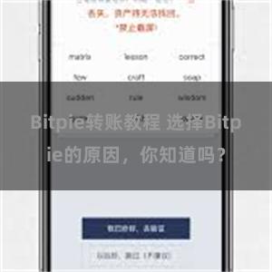 Bitpie转账教程 选择Bitpie的原因，你知道吗？