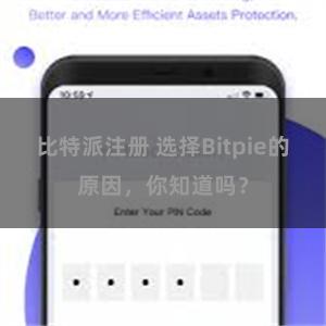 比特派注册 选择Bitpie的原因，你知道吗？