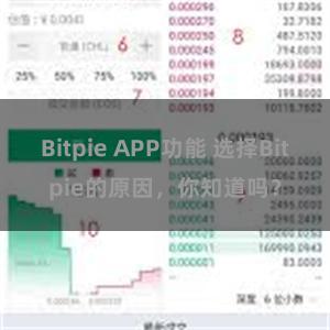 Bitpie APP功能 选择Bitpie的原因，你知道吗？