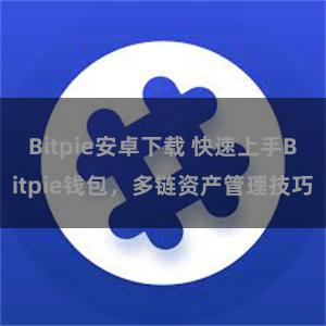 Bitpie安卓下载 快速上手Bitpie钱包，多链资产管理技巧