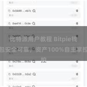 比特派用户教程 Bitpie钱包安全可靠，资产100%自主掌控