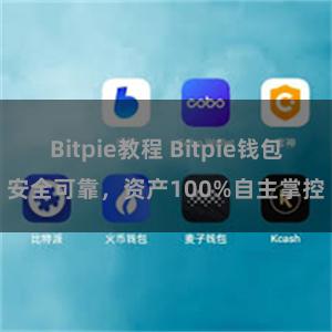 Bitpie教程 Bitpie钱包安全可靠，资产100%自主掌控