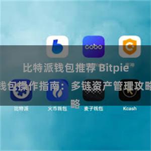 比特派钱包推荐 Bitpie钱包操作指南：多链资产管理攻略