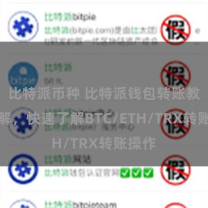 比特派币种 比特派钱包转账教程详解，快速了解BTC/ETH/TRX转账操作