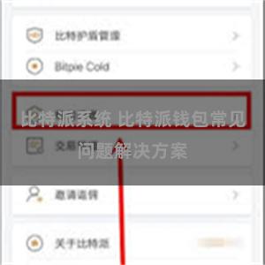 比特派系统 比特派钱包常见问题解决方案