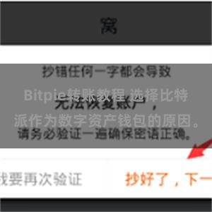 Bitpie转账教程 选择比特派作为数字资产钱包的原因。