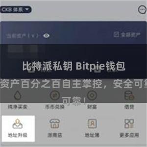 比特派私钥 Bitpie钱包：资产百分之百自主掌控，安全可靠！