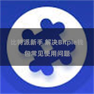 比特派新手 解决Bitpie钱包常见使用问题