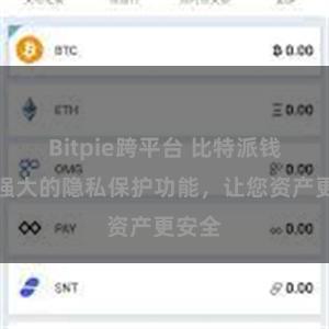 Bitpie跨平台 比特派钱包：强大的隐私保护功能，让您资产更安全