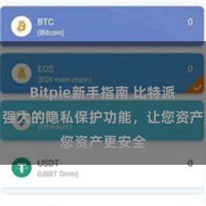 Bitpie新手指南 比特派钱包：强大的隐私保护功能，让您资产更安全