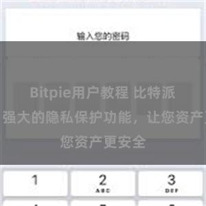 Bitpie用户教程 比特派钱包：强大的隐私保护功能，让您资产更安全