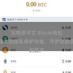 比特派中文 Bitpie钱包：强大的隐私保护功能，守护您的资产