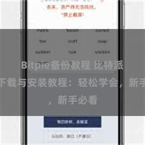 Bitpie备份教程 比特派钱包下载与安装教程：轻松学会，新手必看