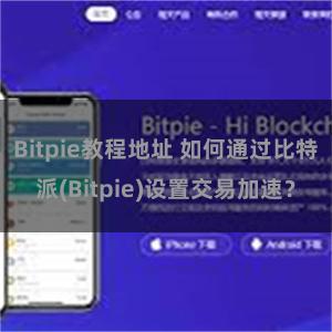 Bitpie教程地址 如何通过比特派(Bitpie)设置交易加速？