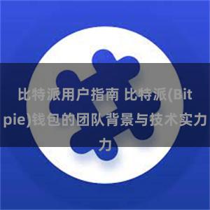 比特派用户指南 比特派(Bitpie)钱包的团队背景与技术实力