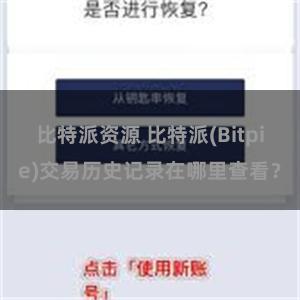 比特派资源 比特派(Bitpie)交易历史记录在哪里查看？