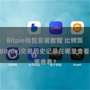 Bitpie钱包安装教程 比特派(Bitpie)交易历史记录在哪里查看？