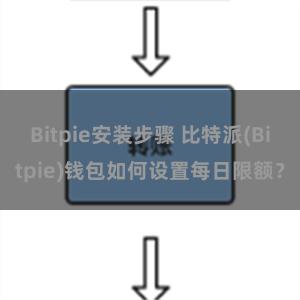 Bitpie安装步骤 比特派(Bitpie)钱包如何设置每日限额？