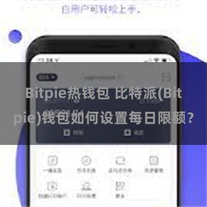 Bitpie热钱包 比特派(Bitpie)钱包如何设置每日限额？