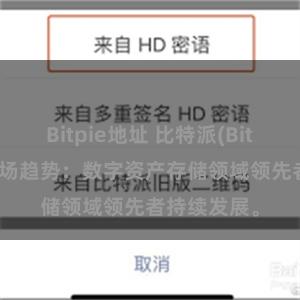 Bitpie地址 比特派(Bitpie)钱包市场趋势：数字资产存储领域领先者持续发展。