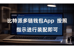 比特派多链钱包App  按照指示进行装配即可