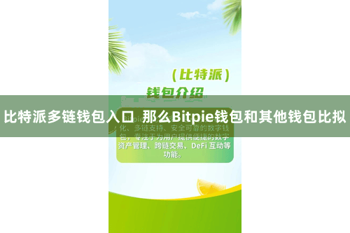 比特派多链钱包入口  那么Bitpie钱包和其他钱包比拟