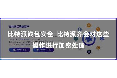 比特派钱包安全  比特派齐会对这些操作进行加密处理